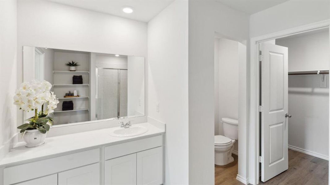 Bathroom with a spacious closet, vanity, light wood-style flooring, and a shower stall