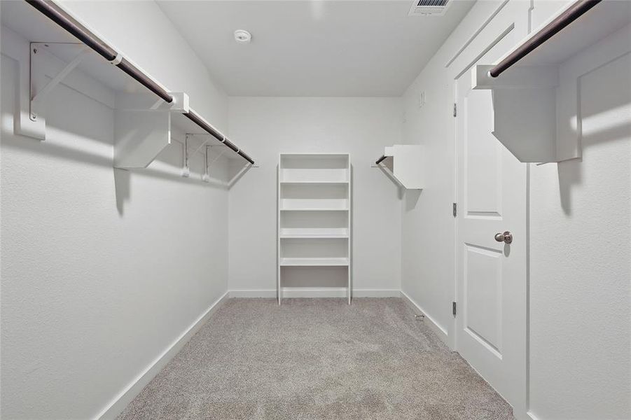 Spacious closet featuring light carpet