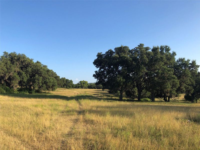 Natural landscape and outdoor views near  in Johnson City (Image 20).