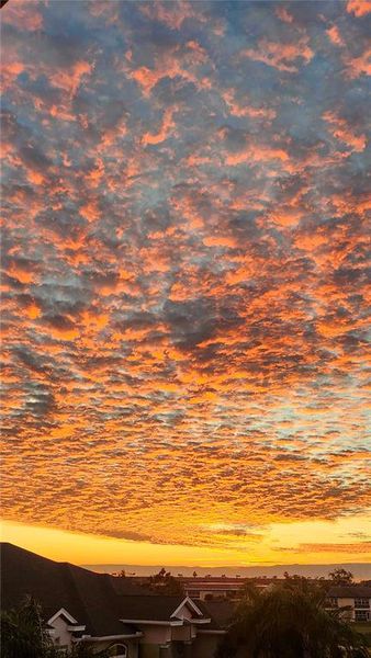 Natural landscape and outdoor views near  in New Port Richey (Image 55).