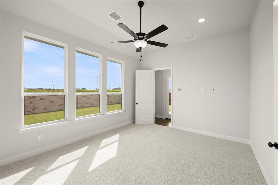 14. 309 Bee Balm - Primary 14. 309 Bee Balm - Primary