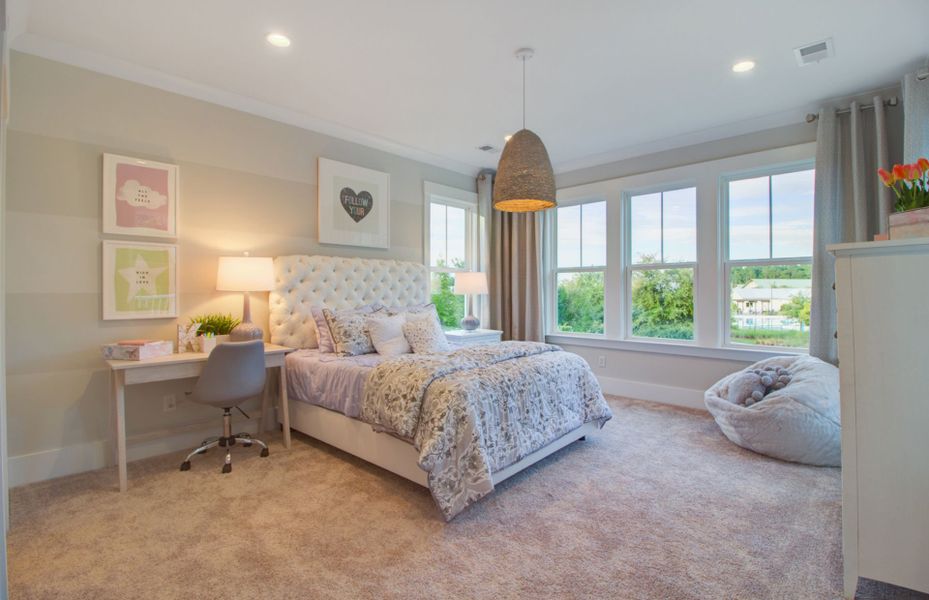 Model Representation