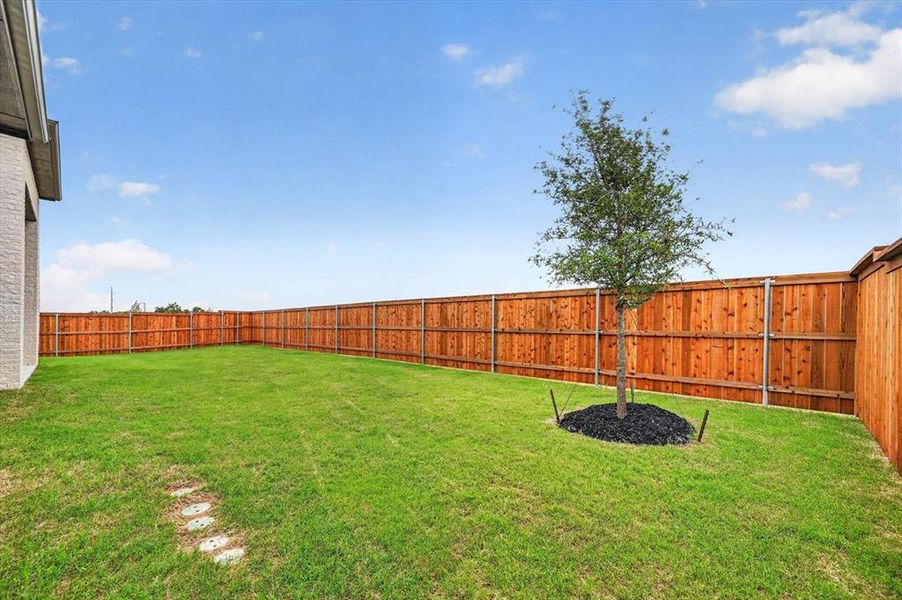 Exterior details and patio area of a home in The Parks at Wilson Creek, Celina (Image 17).