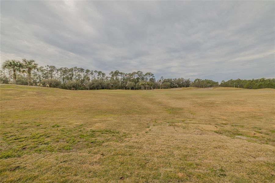 Golf course view