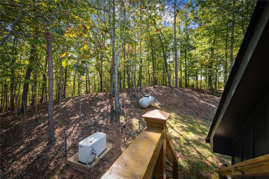Natural landscape and outdoor views near  in Morganton (Image 53).
