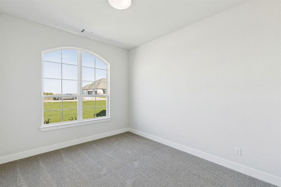 18-121Swan_018 18-121Swan_018