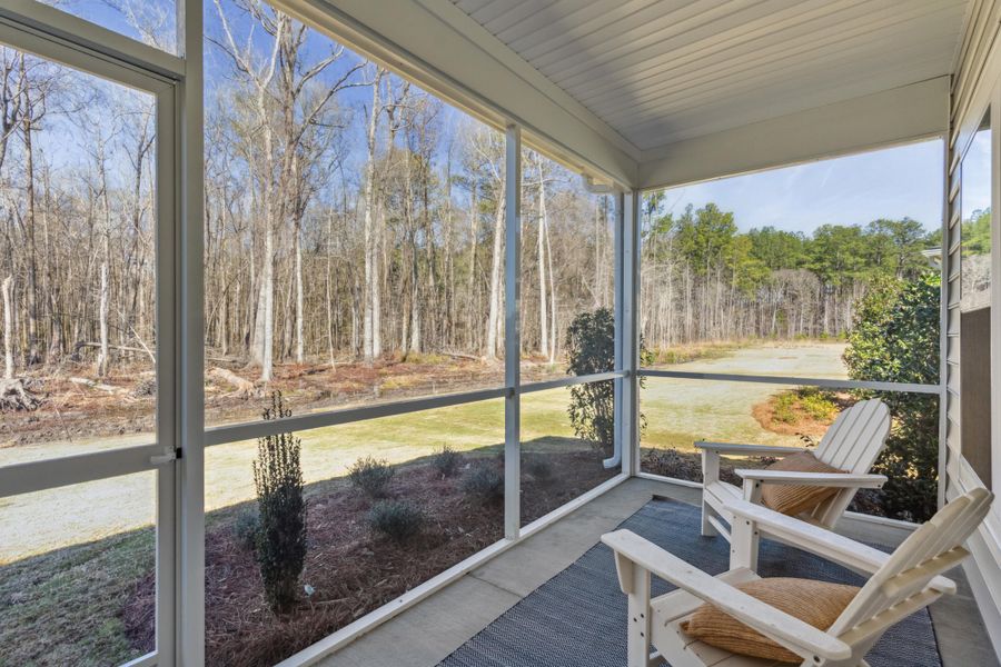 Exterior details and patio area of a home in Horizons at Summers Corner | 55+, Summerville (Image 28).