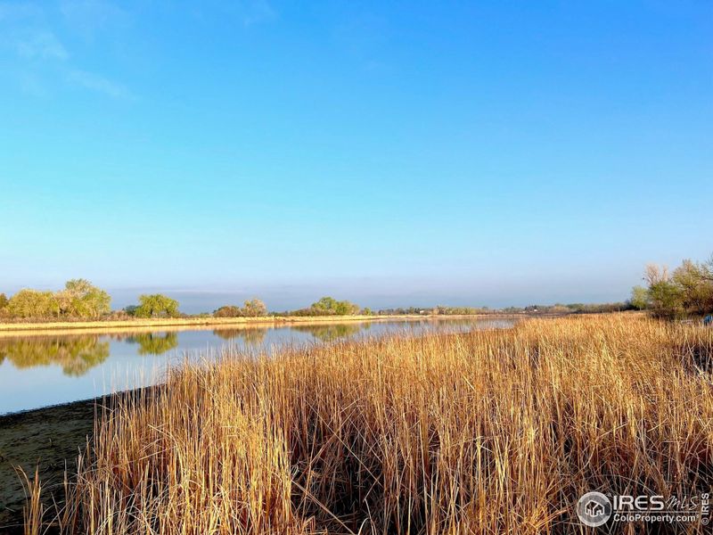 Enjoy the views around the lake