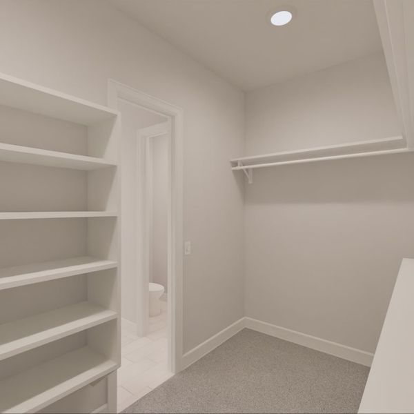Westchase Owners Walk in Closet Westchase Owners Walk in Closet