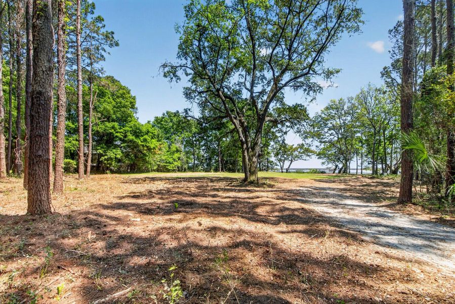 Natural landscape and outdoor views near in Awendaw (Image 19). Natural landscape and outdoor views near in Awendaw (Image 19).