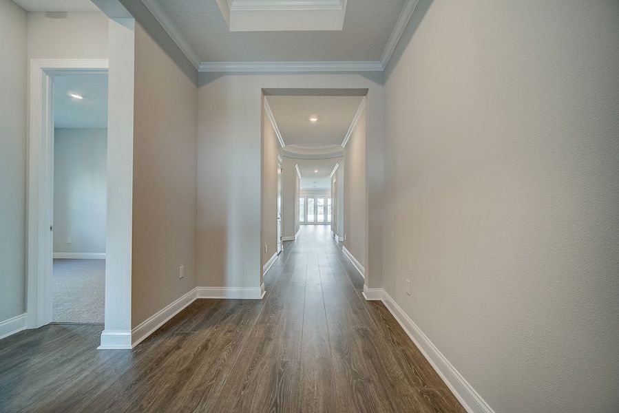 The Shalimar - Entry The Shalimar - Entry