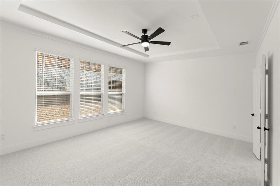 15. 803 Bleriot - Primary