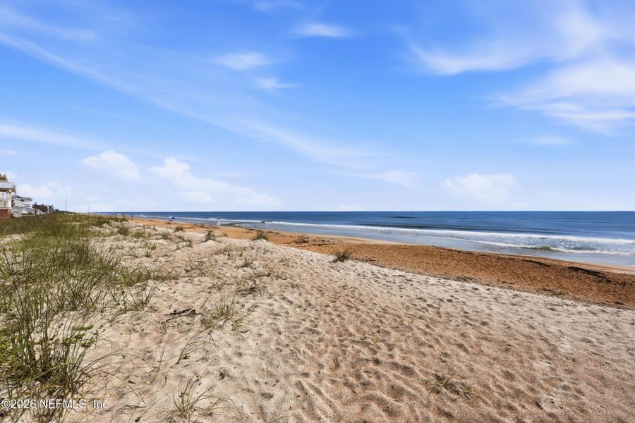 Natural landscape and outdoor views near  in Ponte Vedra Beach (Image 25).