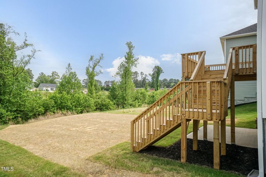 Back Yard 02 Back Yard 02