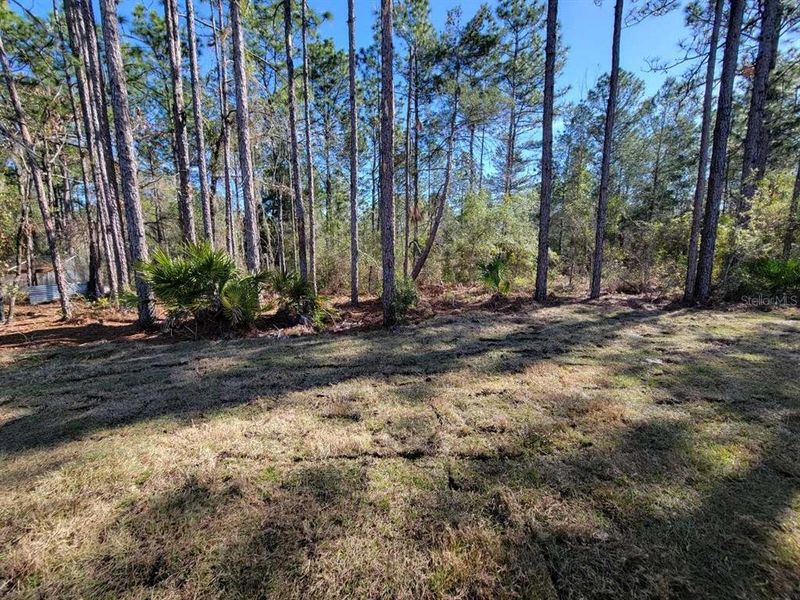 Natural landscape and outdoor views near Marion Oaks in Ocala (Image 24).