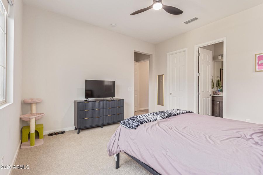 Bedroom 3 (downstairs w/ bath)