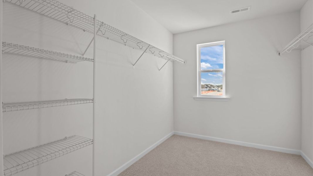 Spacious, unfurnished interior of a new home in Hunter Hill, Rocky Mount (Image 26).