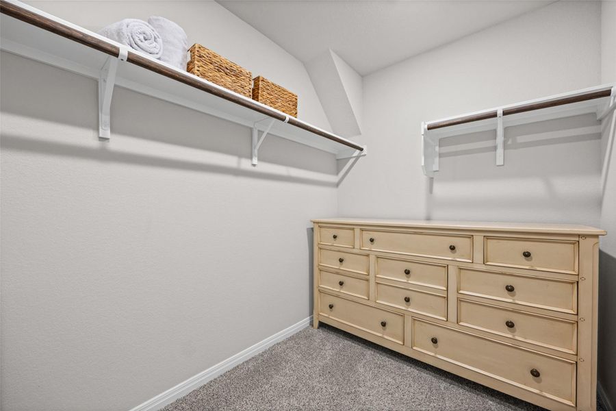 Ample wall shelving and plush carpeting define this functional walk-in closet space.