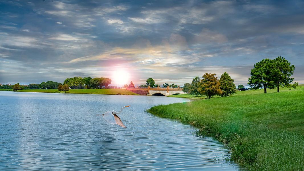 Natural landscape and outdoor views near Bridgeland in Cypress (Image 8).