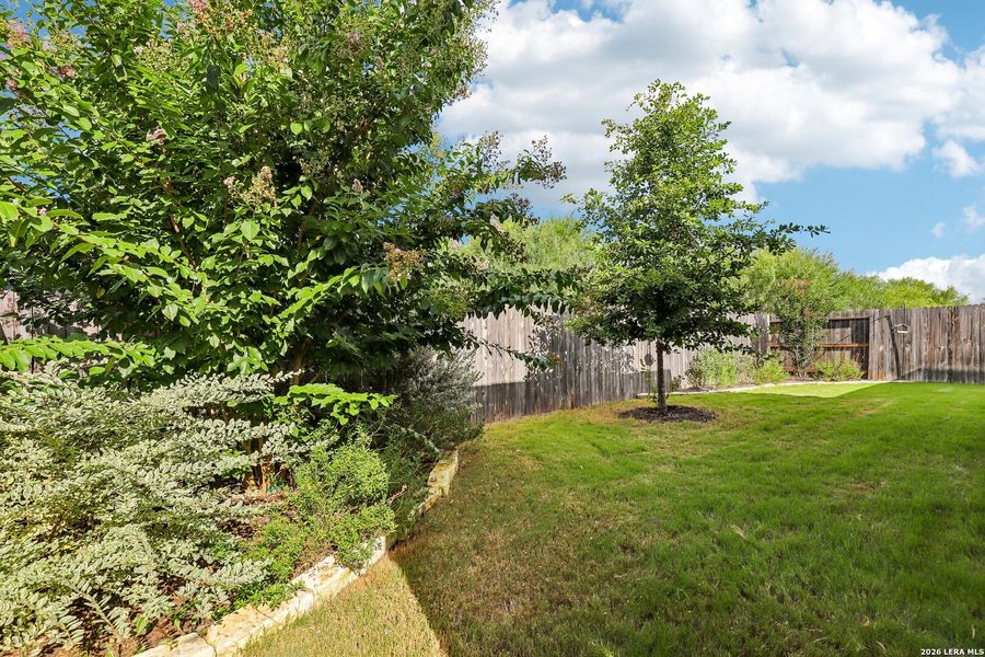Natural landscape and outdoor views near Nolte Farms in Seguin (Image 43). Natural landscape and outdoor views near Nolte Farms in Seguin (Image 43).