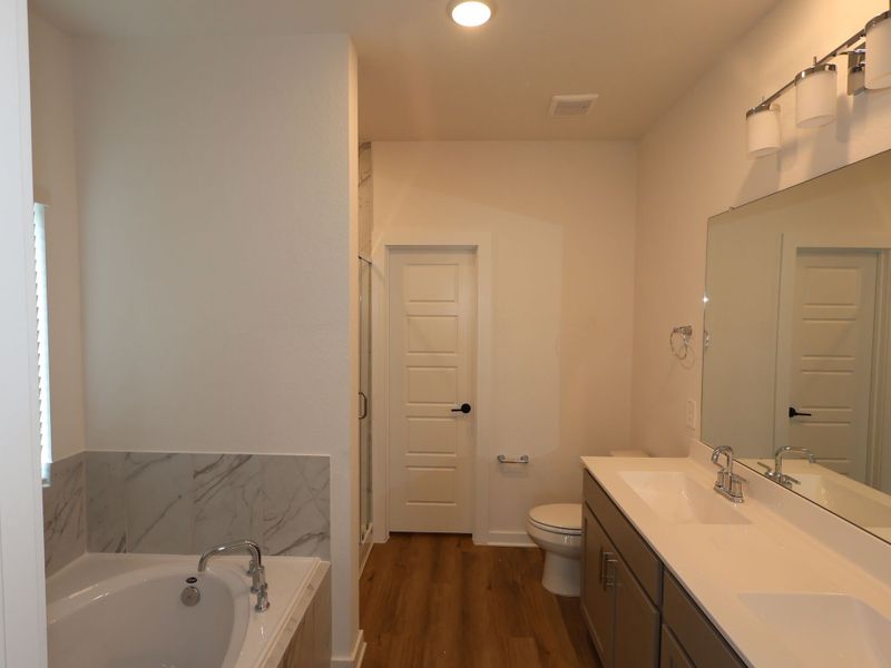 Owner's Bathroom