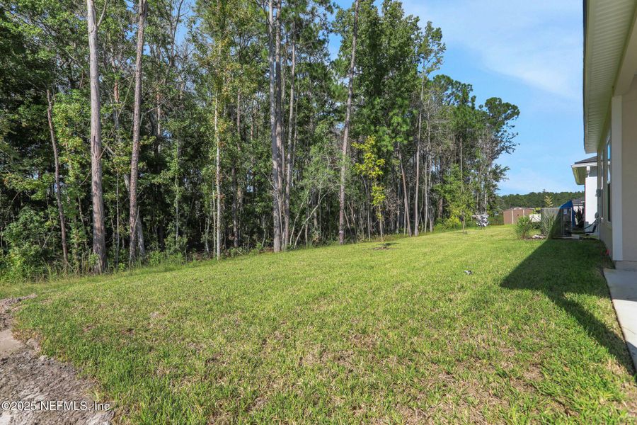 Natural landscape and outdoor views near Bellbrooke in Jacksonville (Image 46). Natural landscape and outdoor views near Bellbrooke in Jacksonville (Image 46).