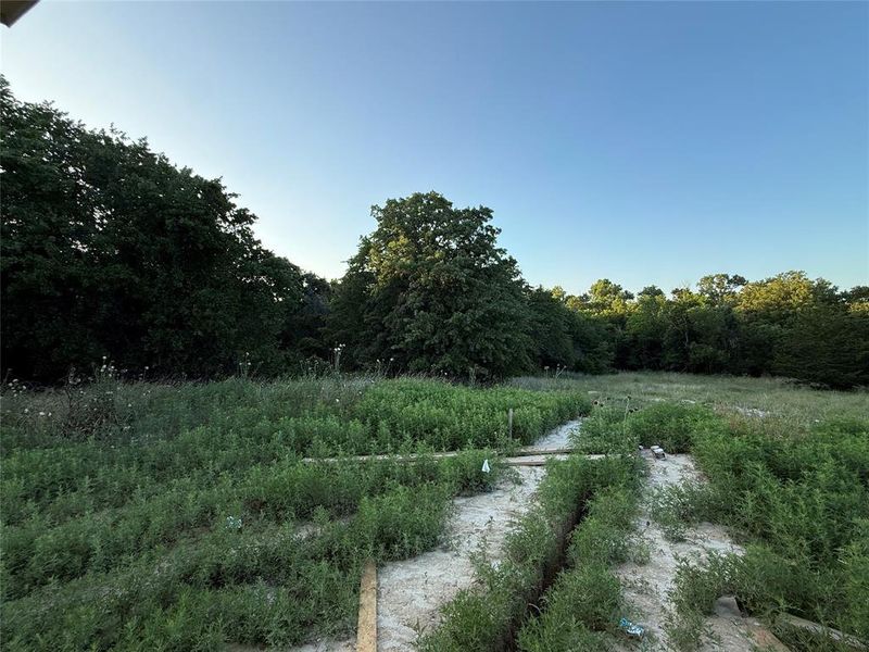 Natural landscape and outdoor views near Zion Trails in Poolville (Image 8).