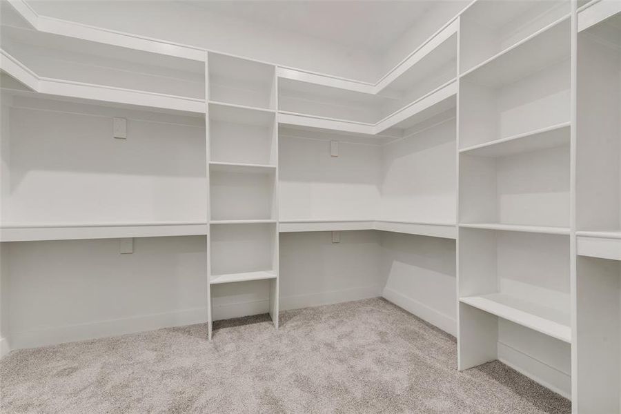 Spacious closet featuring light colored carpet