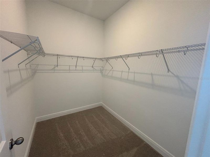 Spacious, unfurnished interior of a new home in Ardisia Park Estate, New Smyrna Beach (Image 30).