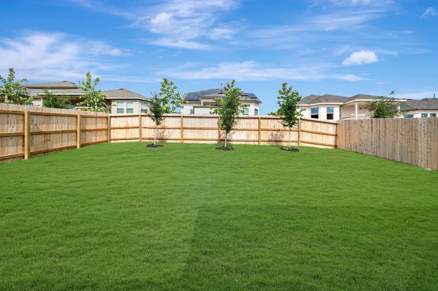 Backyard Backyard