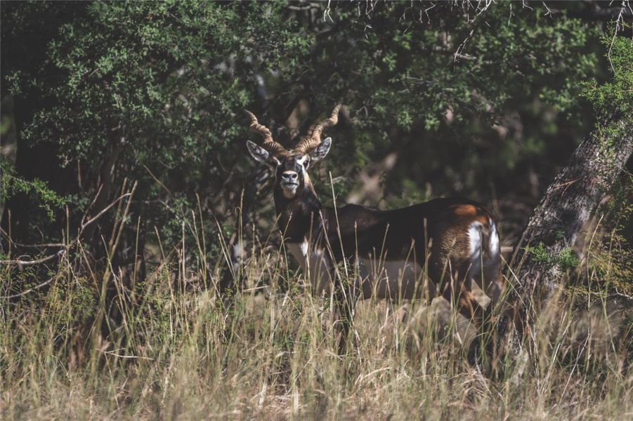 Image 28 of a home in . Image 28 of a home in .