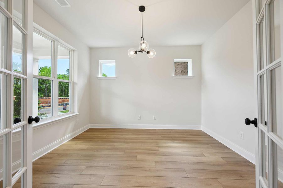 The Whitetail - Study