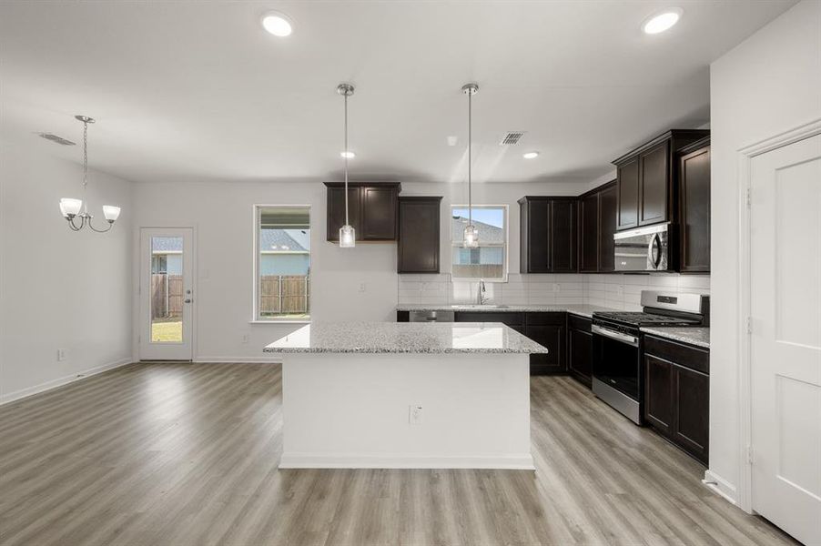 8245 Cheetah Path- Kitchen-2