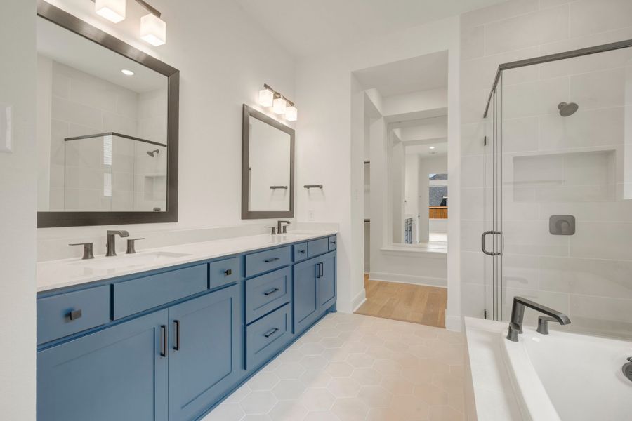 Owner's Bath