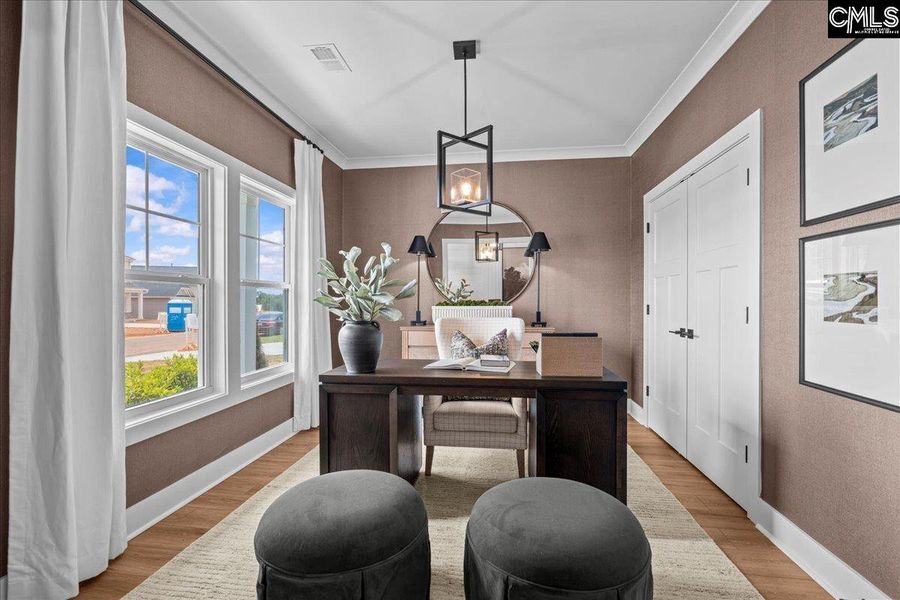 Furnished interior view inside a new home in Boykin Hills, Chapin (Image 2).