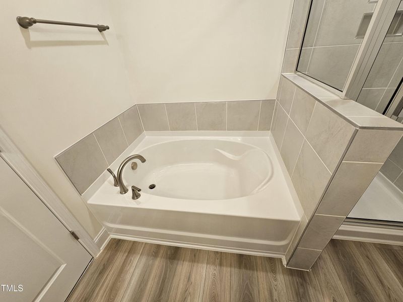 Master Bathroom Tub