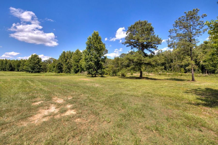 Natural landscape and outdoor views near  in Elloree (Image 42).