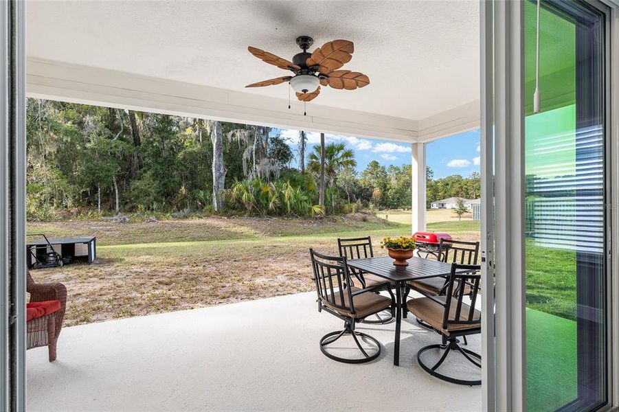 Exterior details and patio area of a home in Finley Woods, Gainesville (Image 39). Exterior details and patio area of a home in Finley Woods, Gainesville (Image 39).