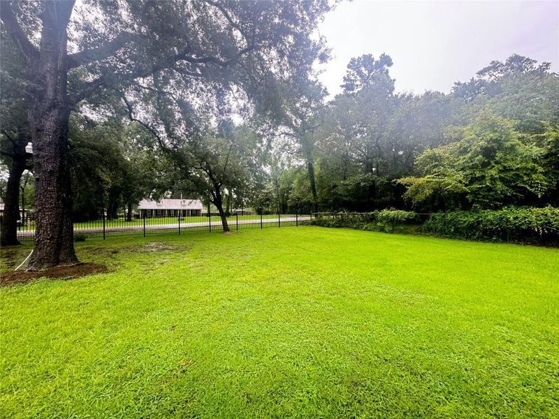 Huge front yard