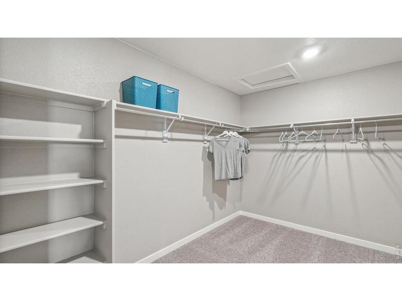 Spacious, unfurnished interior of a new home in Brighton Crossing, Brighton (Image 18).