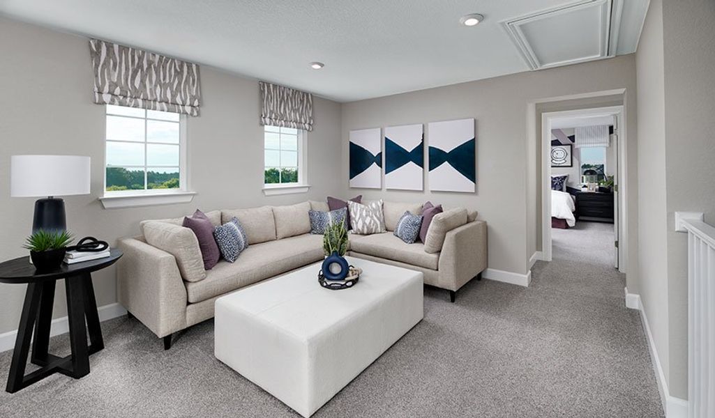 Elderberry-J966-FL Loft