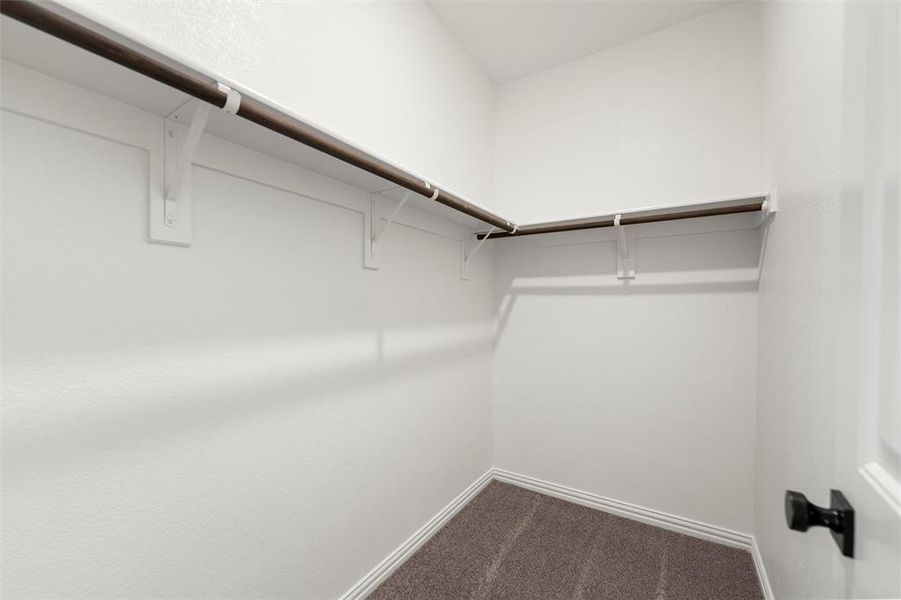 Walk in closet with dark carpet Walk in closet with dark carpet