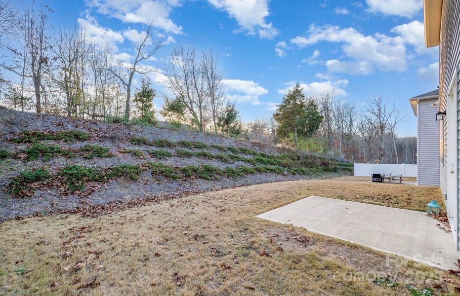 Natural landscape and outdoor views near Freedom Greene in Charlotte (Image 30). Natural landscape and outdoor views near Freedom Greene in Charlotte (Image 30).