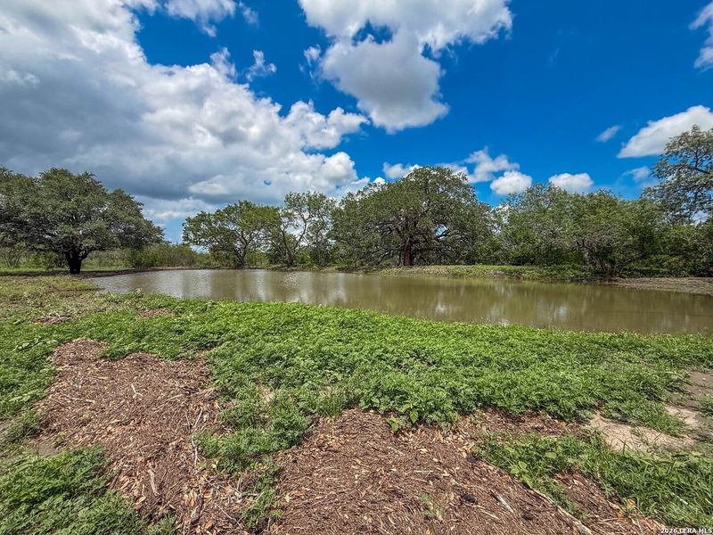 Natural landscape and outdoor views near in Kenedy (Image 7). Natural landscape and outdoor views near in Kenedy (Image 7).