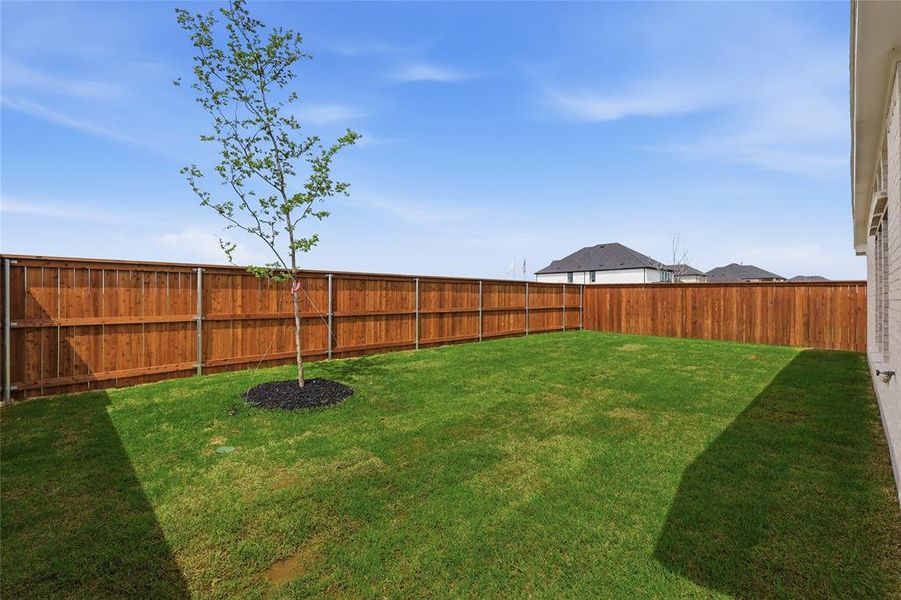 View of fenced backyard