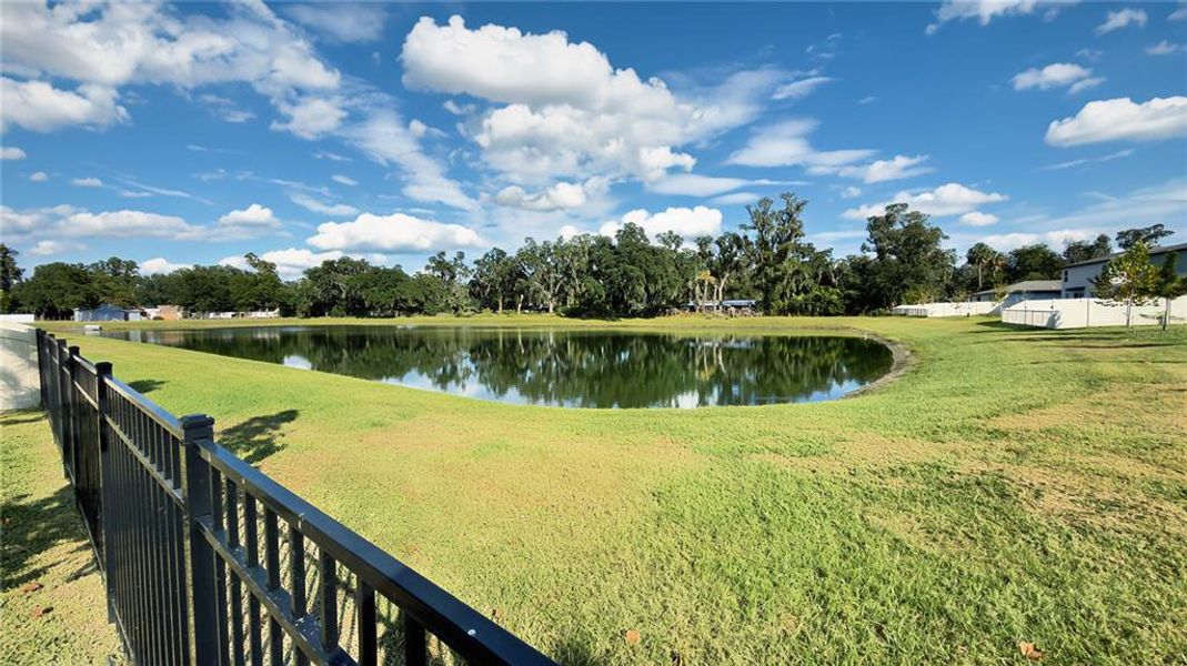 Natural landscape and outdoor views near Park East in Plant City (Image 21). Natural landscape and outdoor views near Park East in Plant City (Image 21).