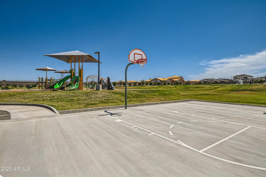 Basketball Court