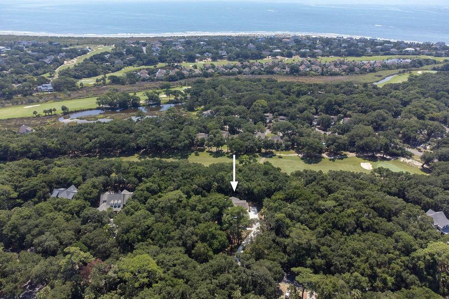 Natural landscape and outdoor views near  in Seabrook Island (Image 93).