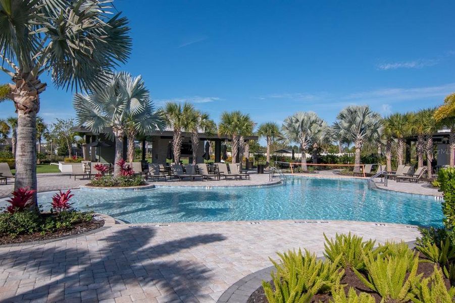 Community amenities in River's Edge, Wesley Chapel (Image 47).