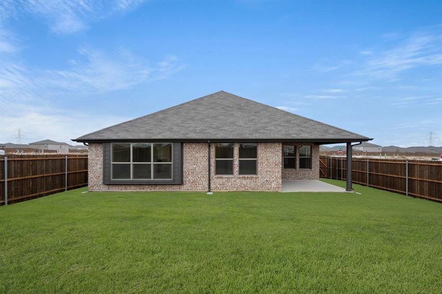 4541 Lyre Leaf- Back (3)